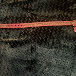 Coach Dog Collar in Brown with Pink Trim